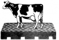 О необходимости наличия в коровниках современных ковриков для коров