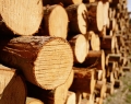 Лесоматериалы - строительные материалы, полностью сохранившие свои природные показатели